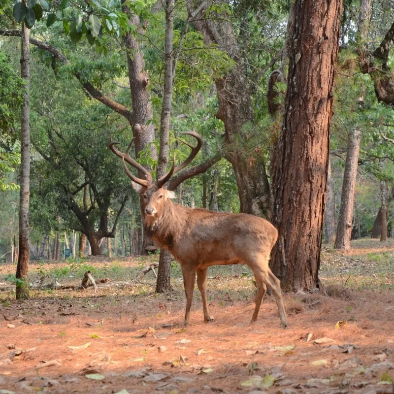 Wildpark het aardhuis