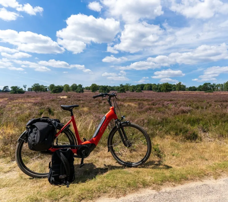 Fiets schinkel