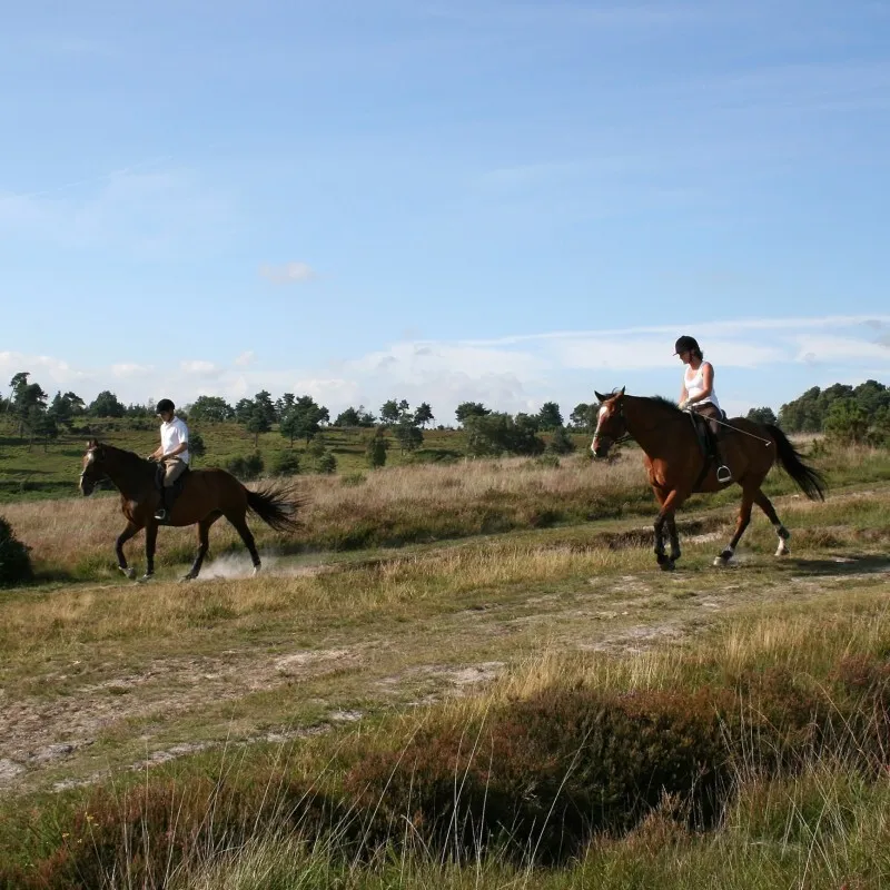 Paardrijden